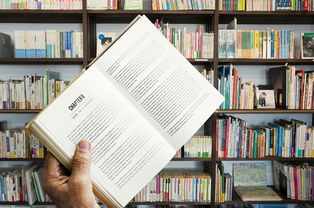 开云体育网站-校园体育文化活动策划与实施研究，学校文化体育活动实施方案