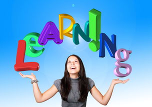 开云体育下载-高校体育教师数字教学能力培养，体育数字教育资源获取与评价