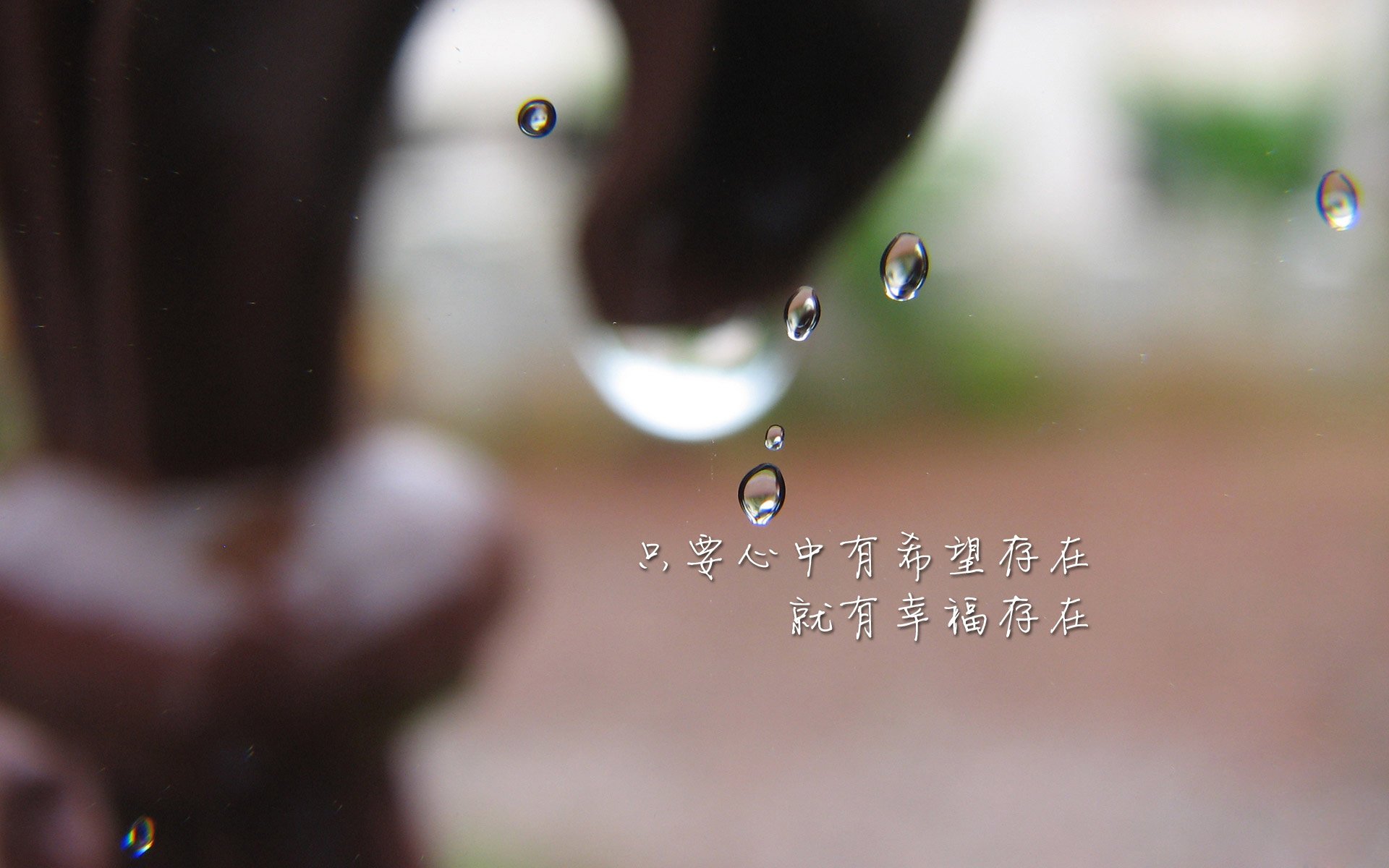 “2025世界运动会：成都三叉湖赛场水上救生赛事掀起热潮”