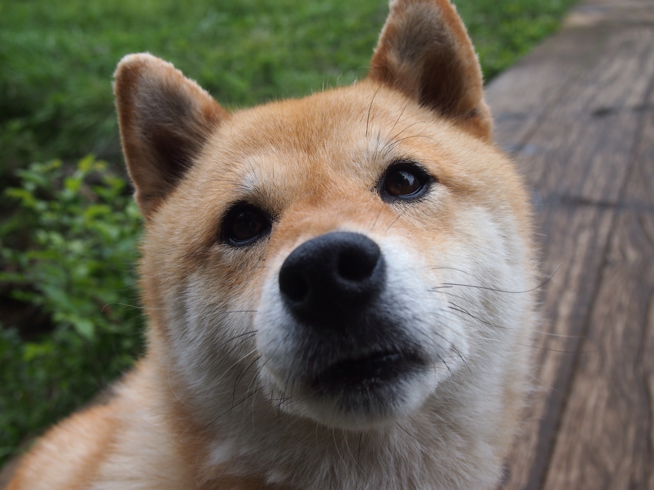 亚洲杯中国队战胜 球迷期待更高突破，亚洲杯中国对战