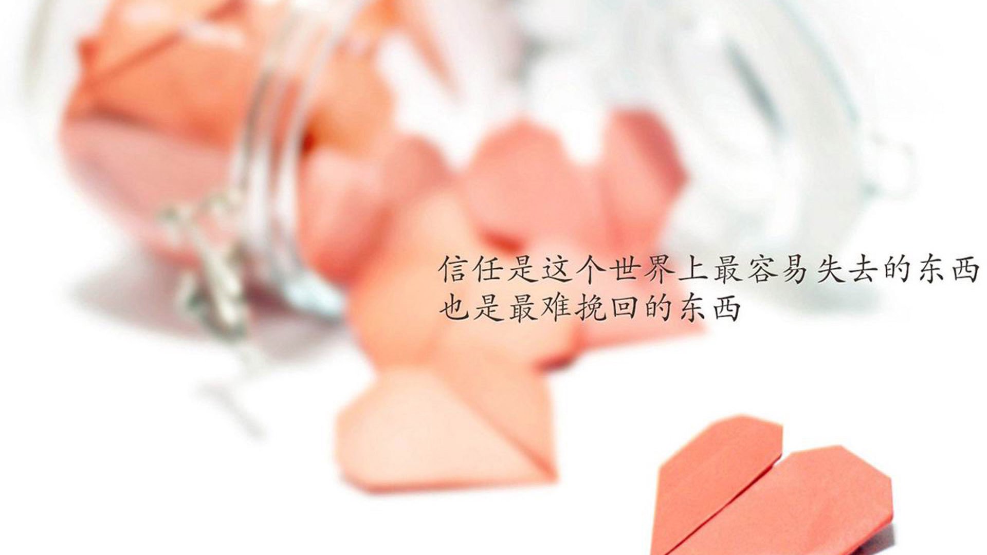 体育明星纪录片专栏登陆主流视频平台，播放体育明星