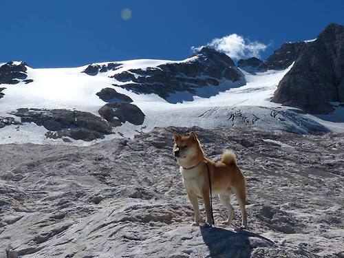 全运会加入短视频挑战活动拓展传播渠道，全运会媒体