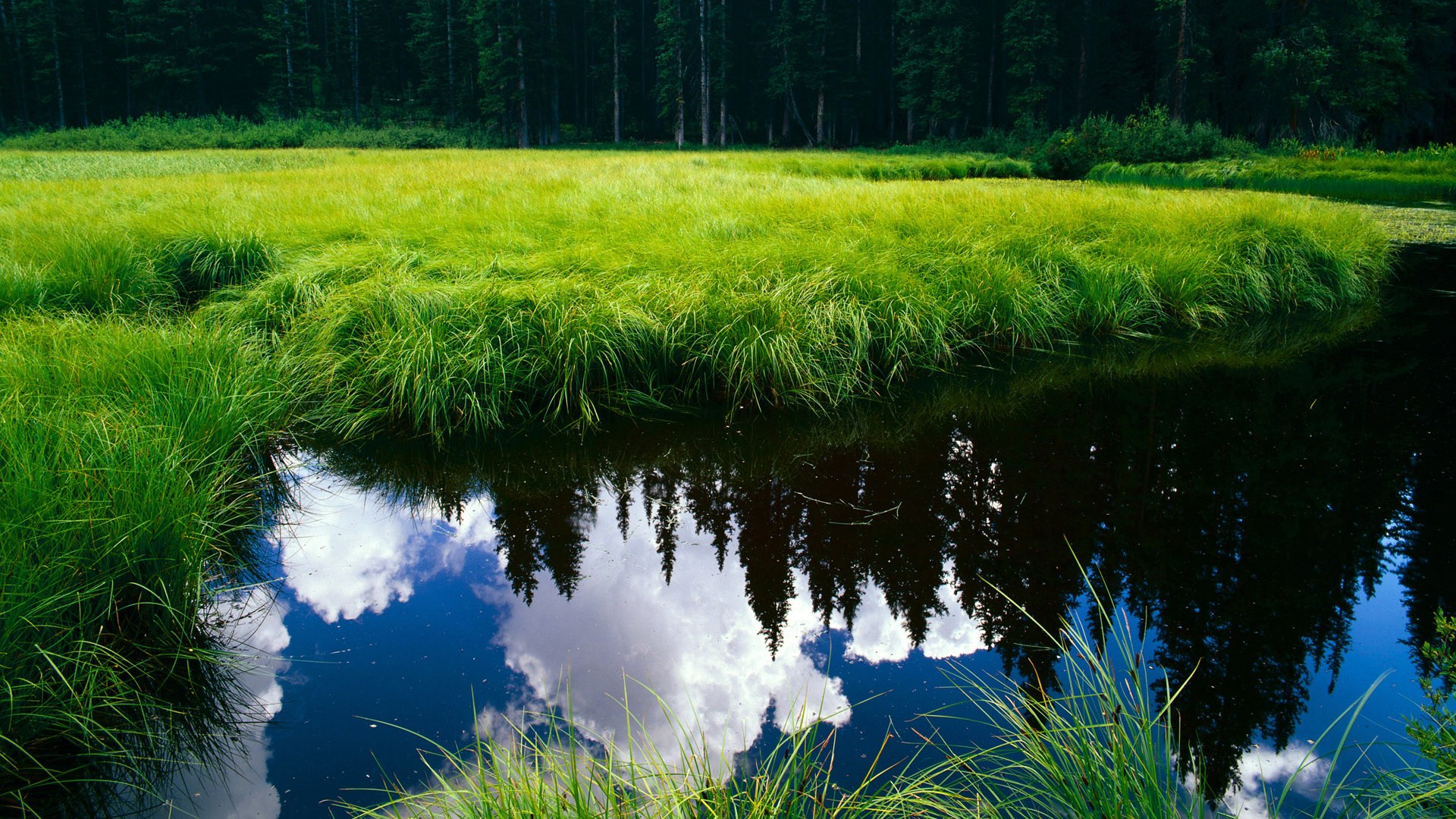 博卡中场横传过多，缺少直塞威胁，博卡vs