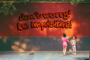 开云体育网站-命中率奇高的经典比赛整理，命中率极高