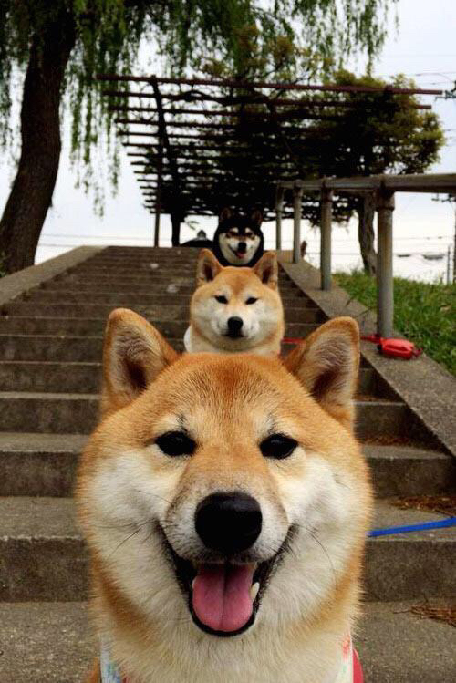 外教战术理论不接地气导致球员执行偏差