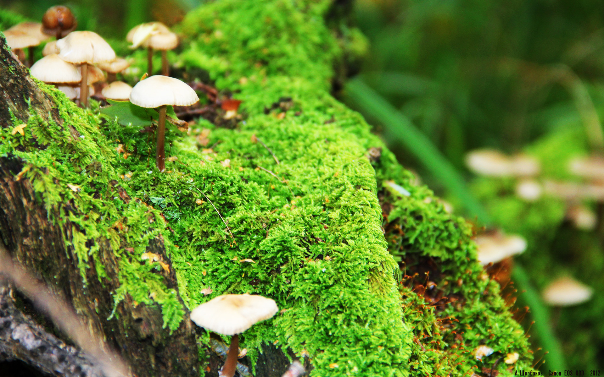 如何防住得分手联盟防守策略曝光，防分手神器