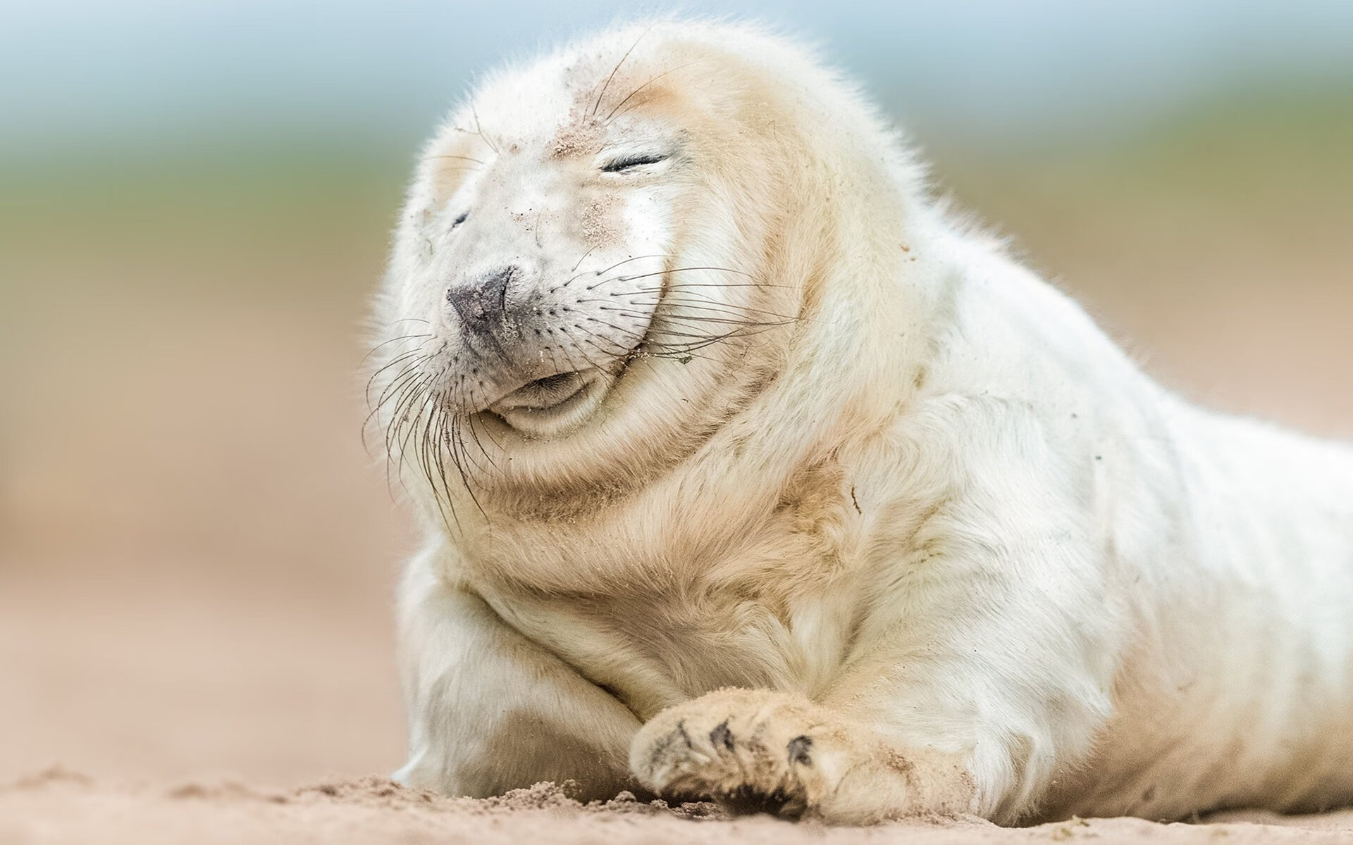 球员跑动路径与传球路线是否建立可视化联动系统，球员跑动距离怎么计算的