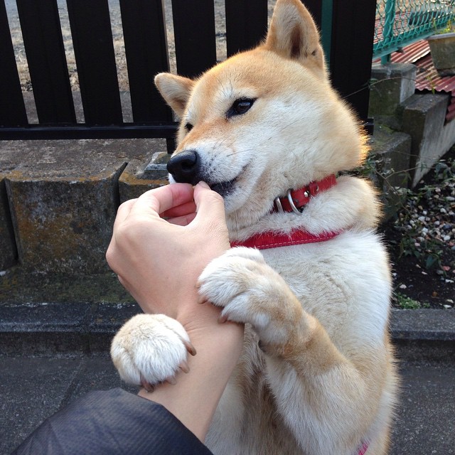 开云官网-防守端身位选择是否影响团队协防效率，防守站位