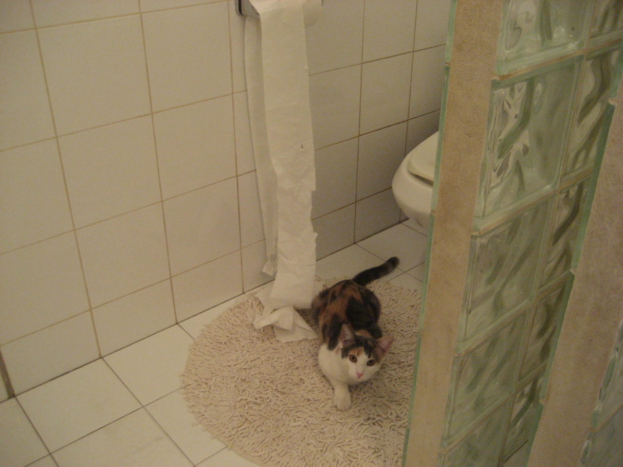 开云体育下载-“华金·托比利亚的全能防守与进攻威胁，成就阿根廷美洲狮队的进攻防守平衡”