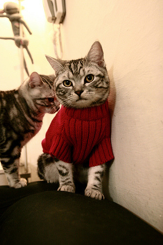 德甲策略多变：出奇制胜，惊喜不断！，德甲前瞻