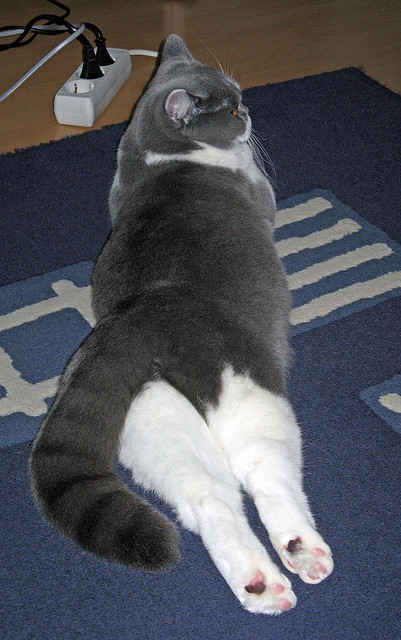 意甲传控之战：精妙配合令人叫绝，意大利传控打法