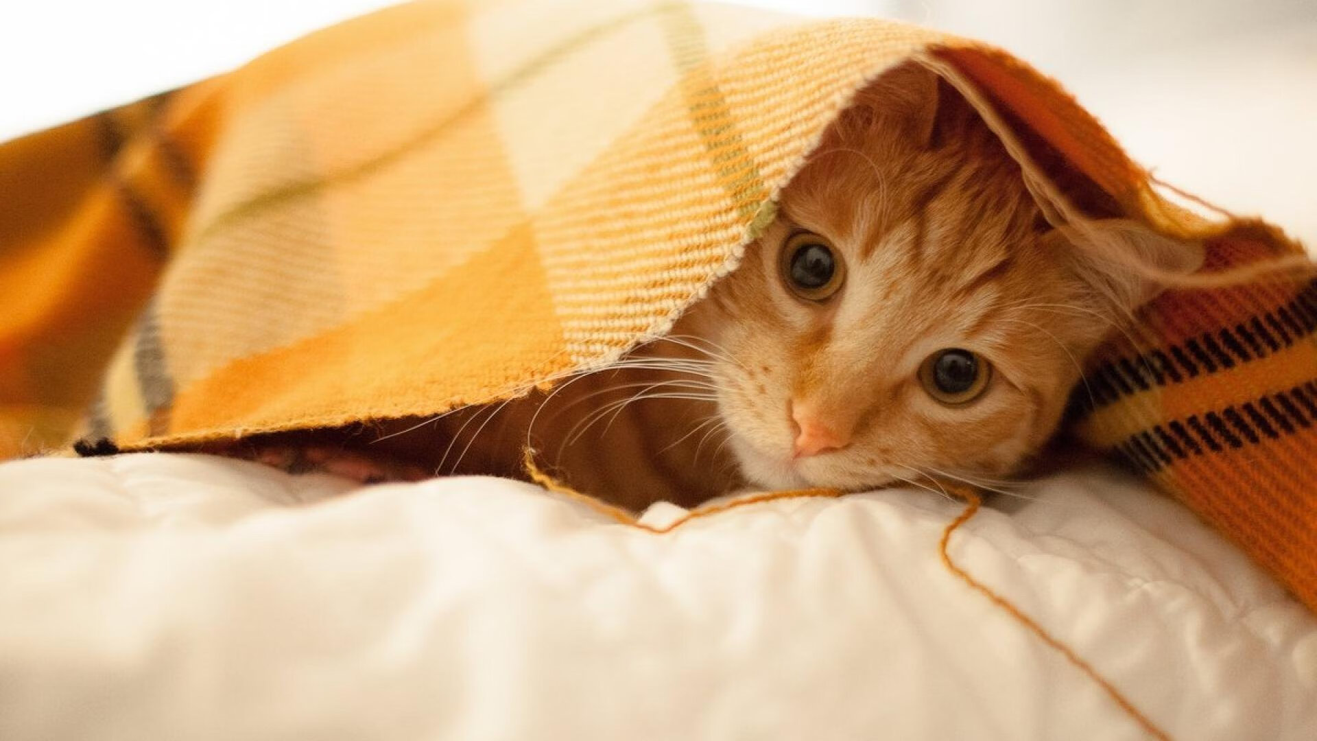 滑行段速度控制精准，节奏稳定，滑行时间定义