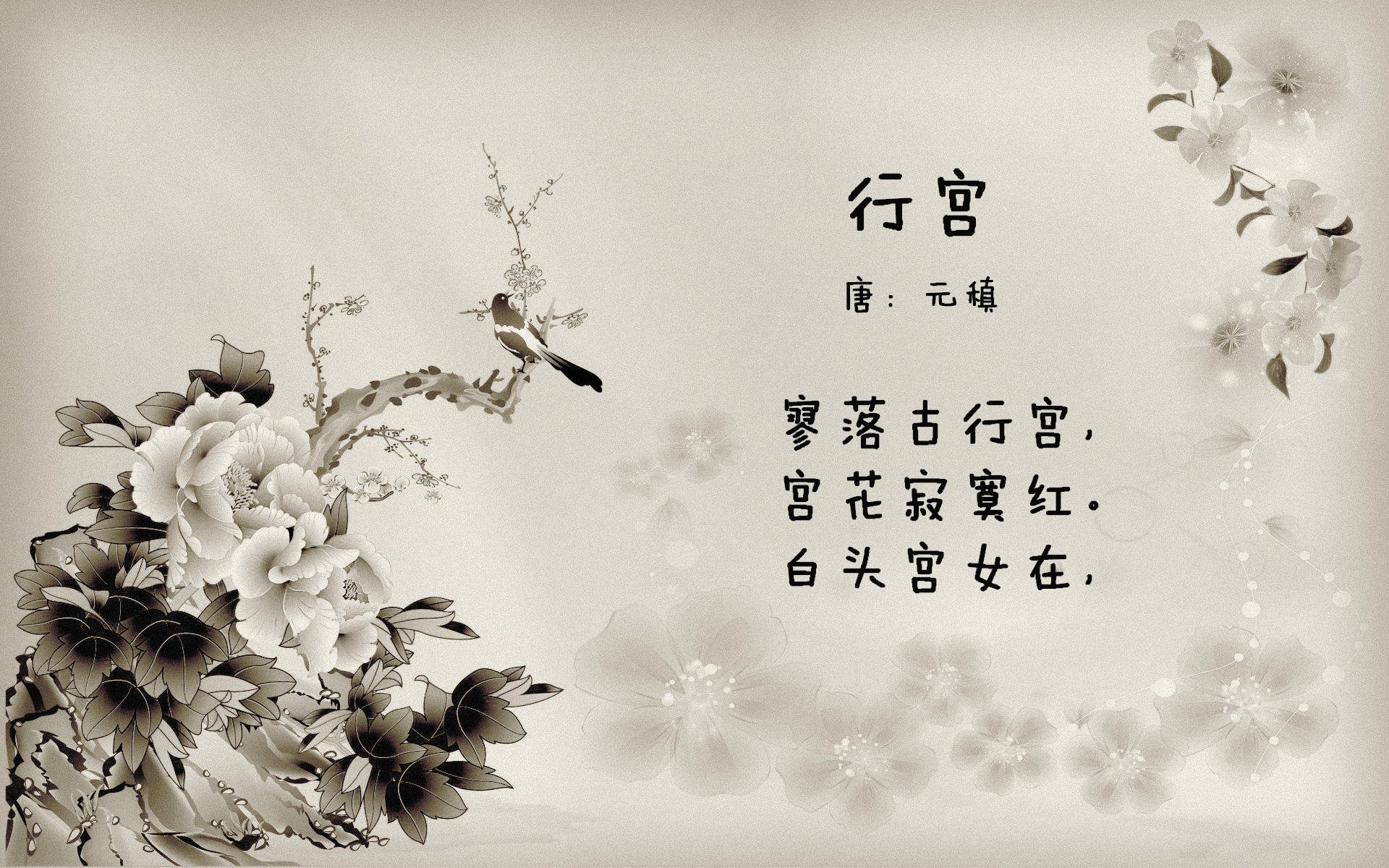 美洲杯各队的数据战术对比分析，美洲杯各队的数据战术对比分析图