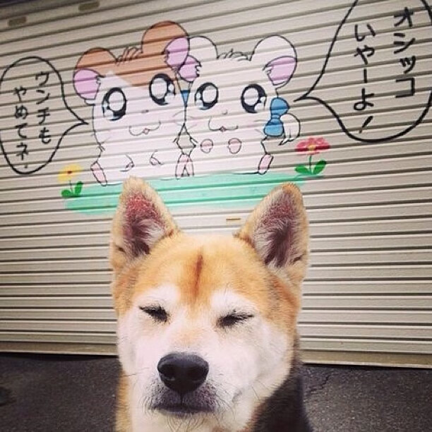 英超激战不断：每一场都扣人心弦！，英超争4