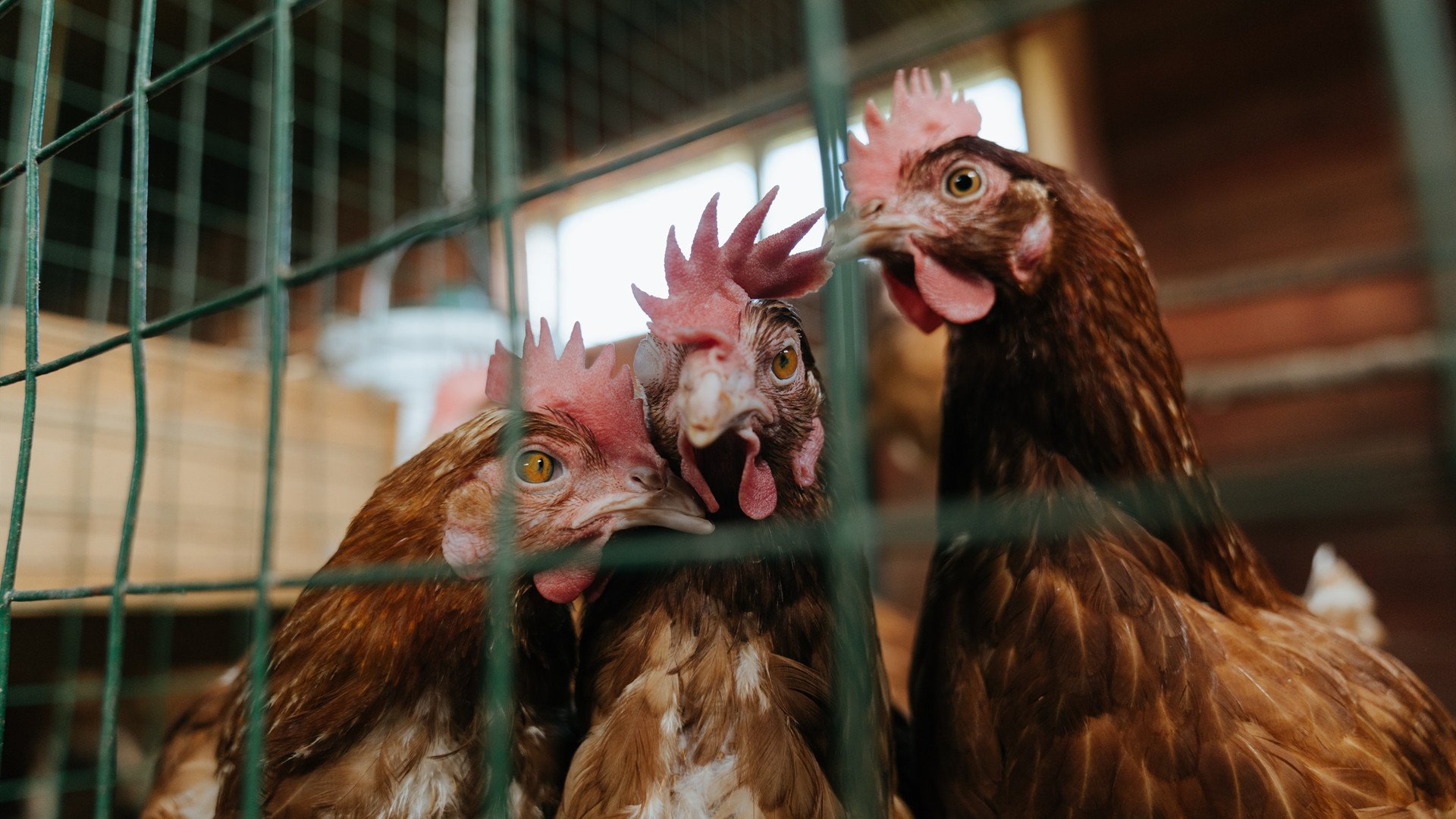 中国篮球国家队边路进攻与三分外线协作策略，中国3分线距离篮筐几米